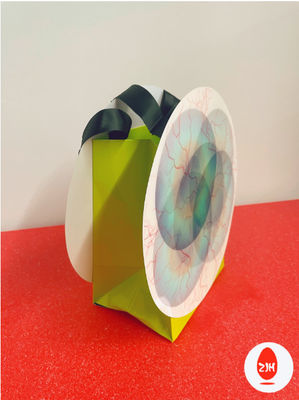 200gsm de lujo Art Paper Shopping Paper Bags con torcido y arco